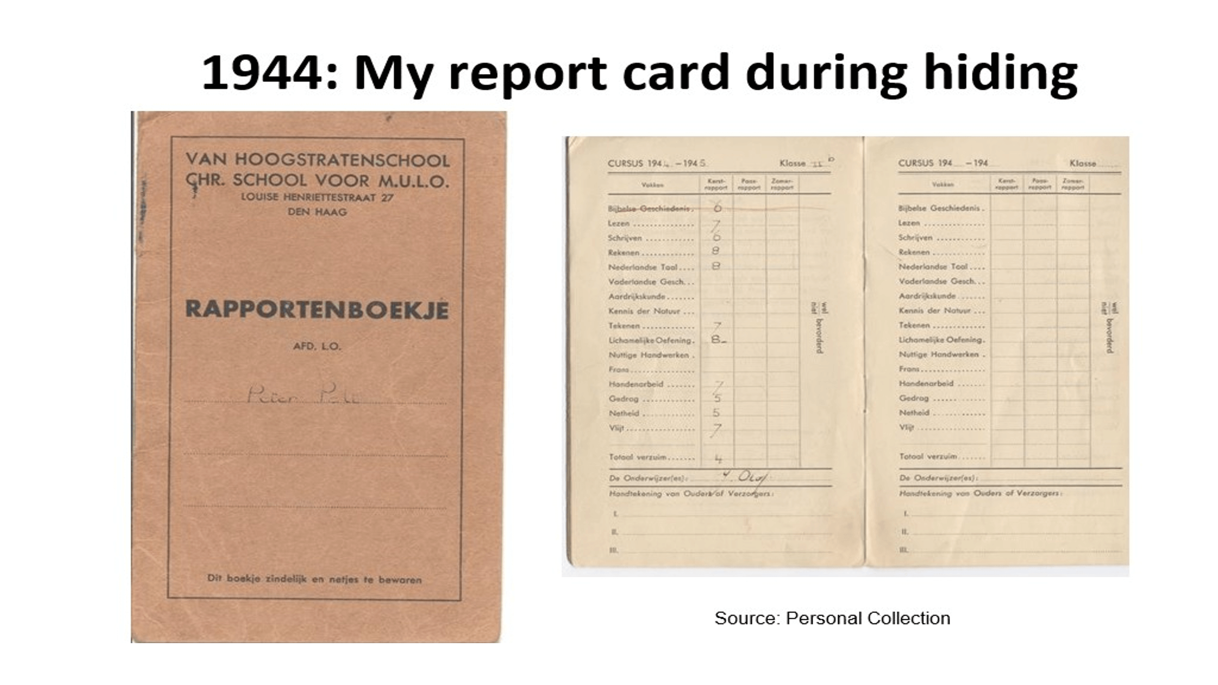 my-report